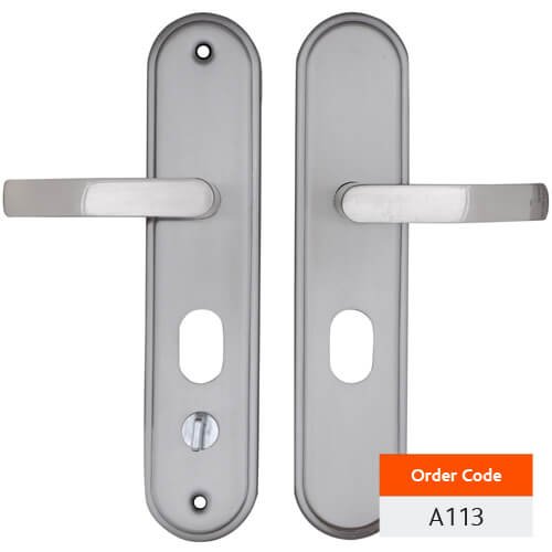 A113_1
